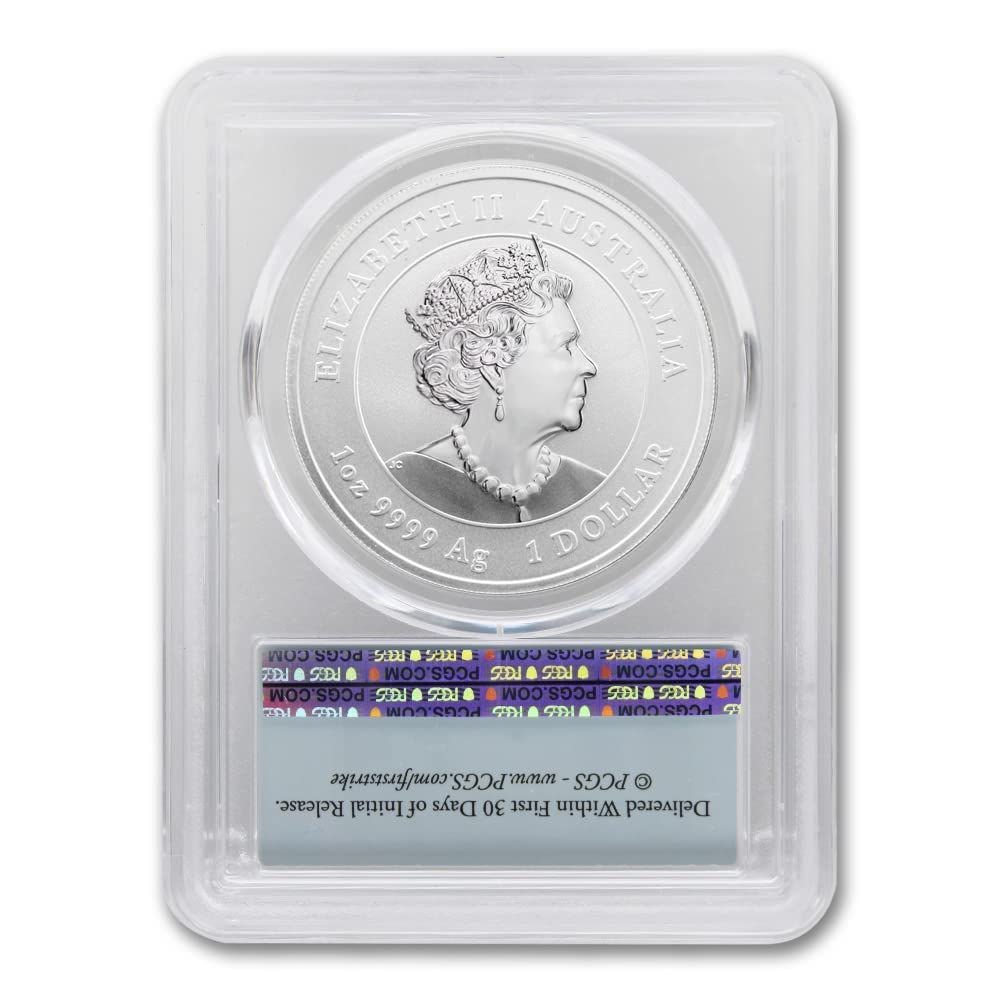 1 oz Silver Year of the Rabbit Coin T9883