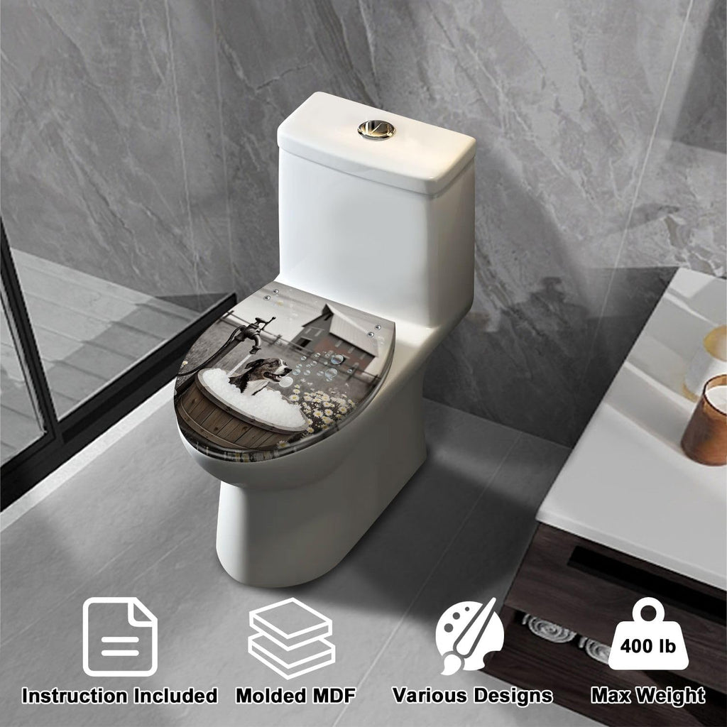 Elongated Slow Close Resin Toilet Seat E264504