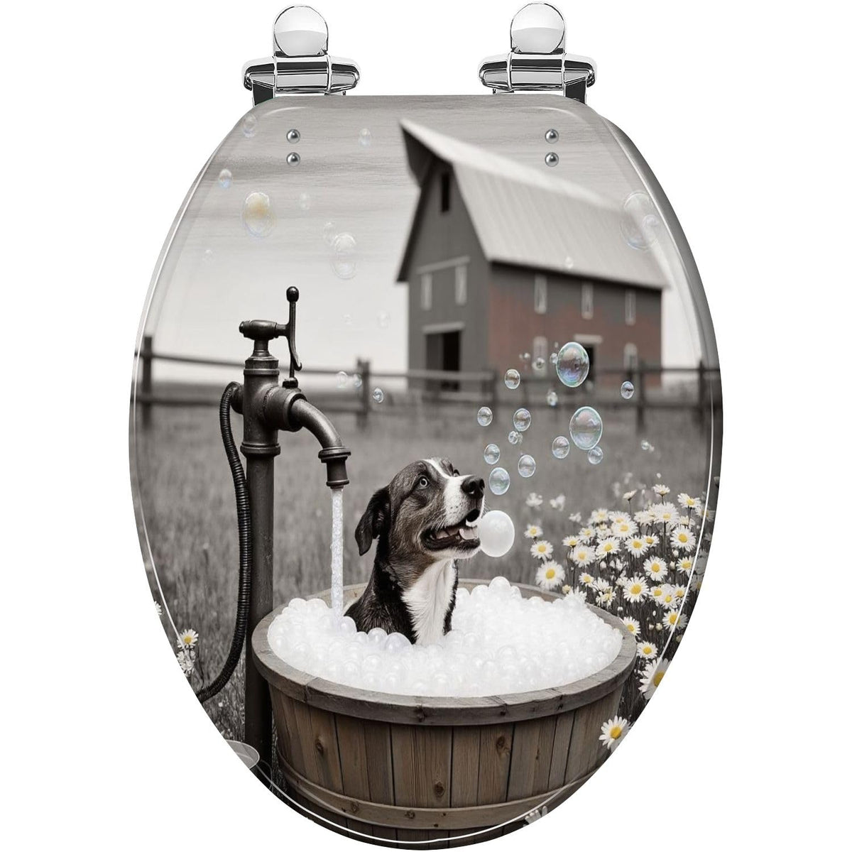 Elongated Slow Close Resin Toilet Seat E264504