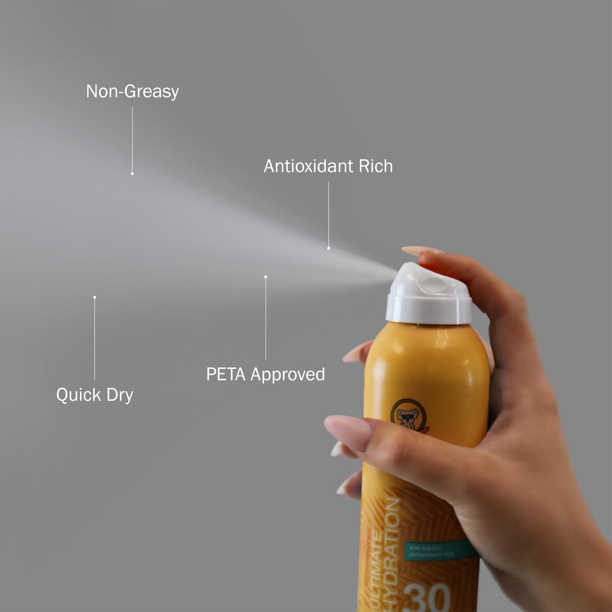 SPF 30 Continuous Spray Sunscreen V532447