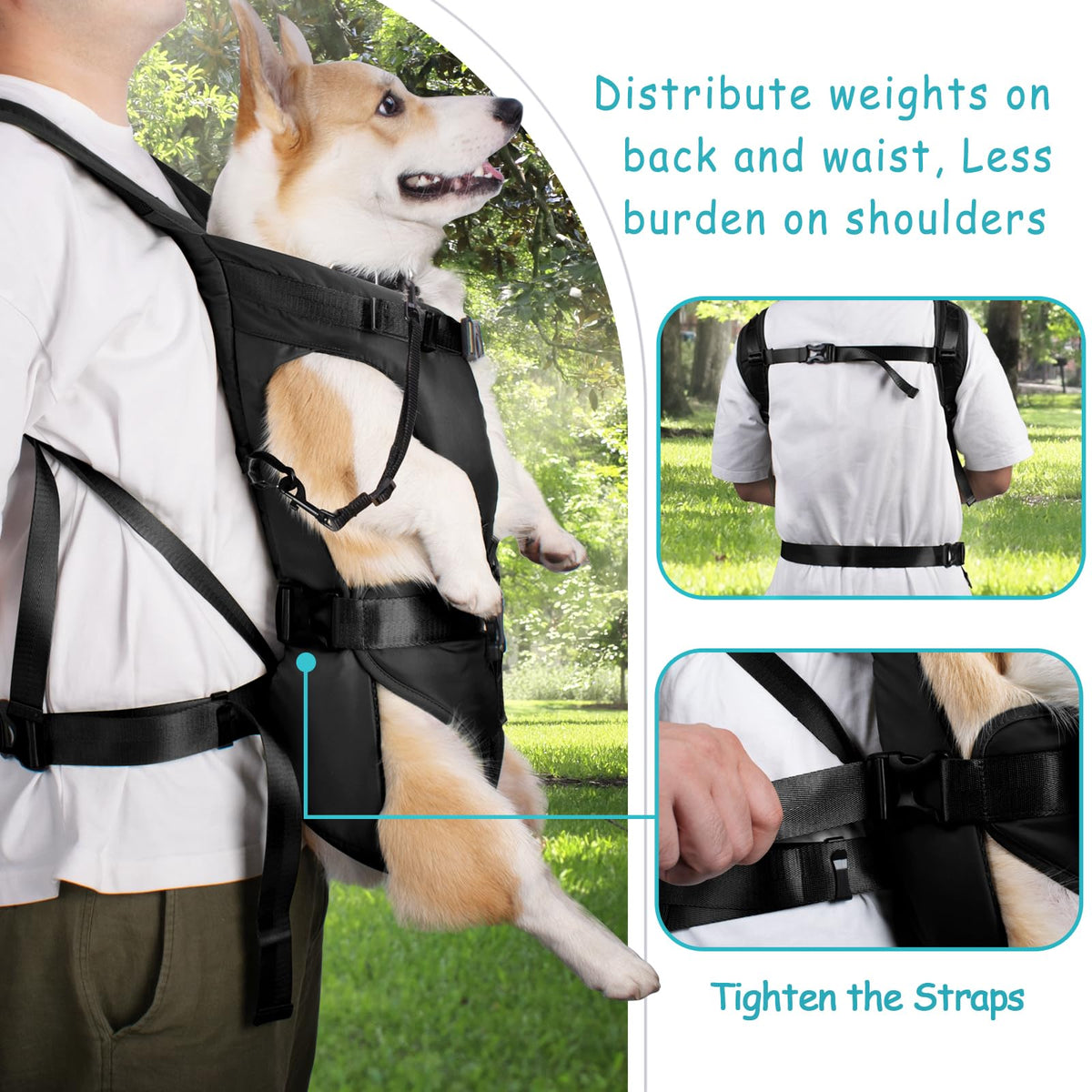 Adjustable Legs Out Dog Carrier Backpack B632149