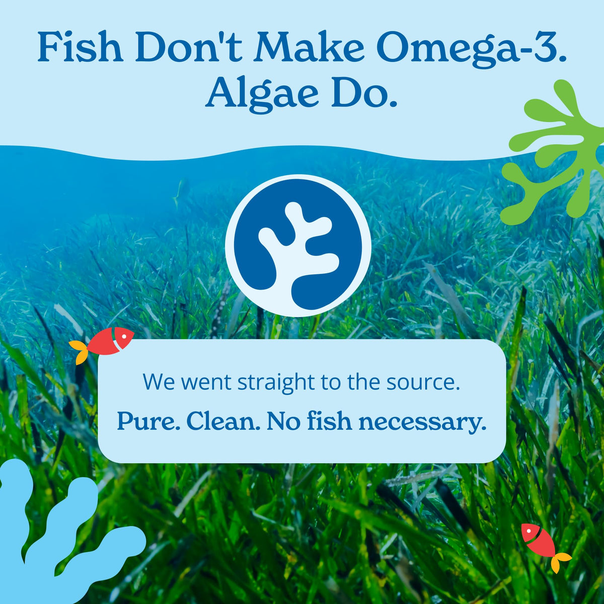 Vegan Omega 3 Algae Oil 120 Count Softgels H35707