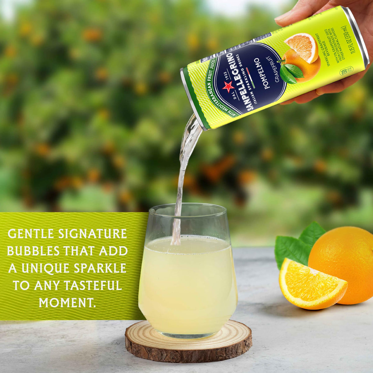 Grapefruit Soda 24 Pack R14591