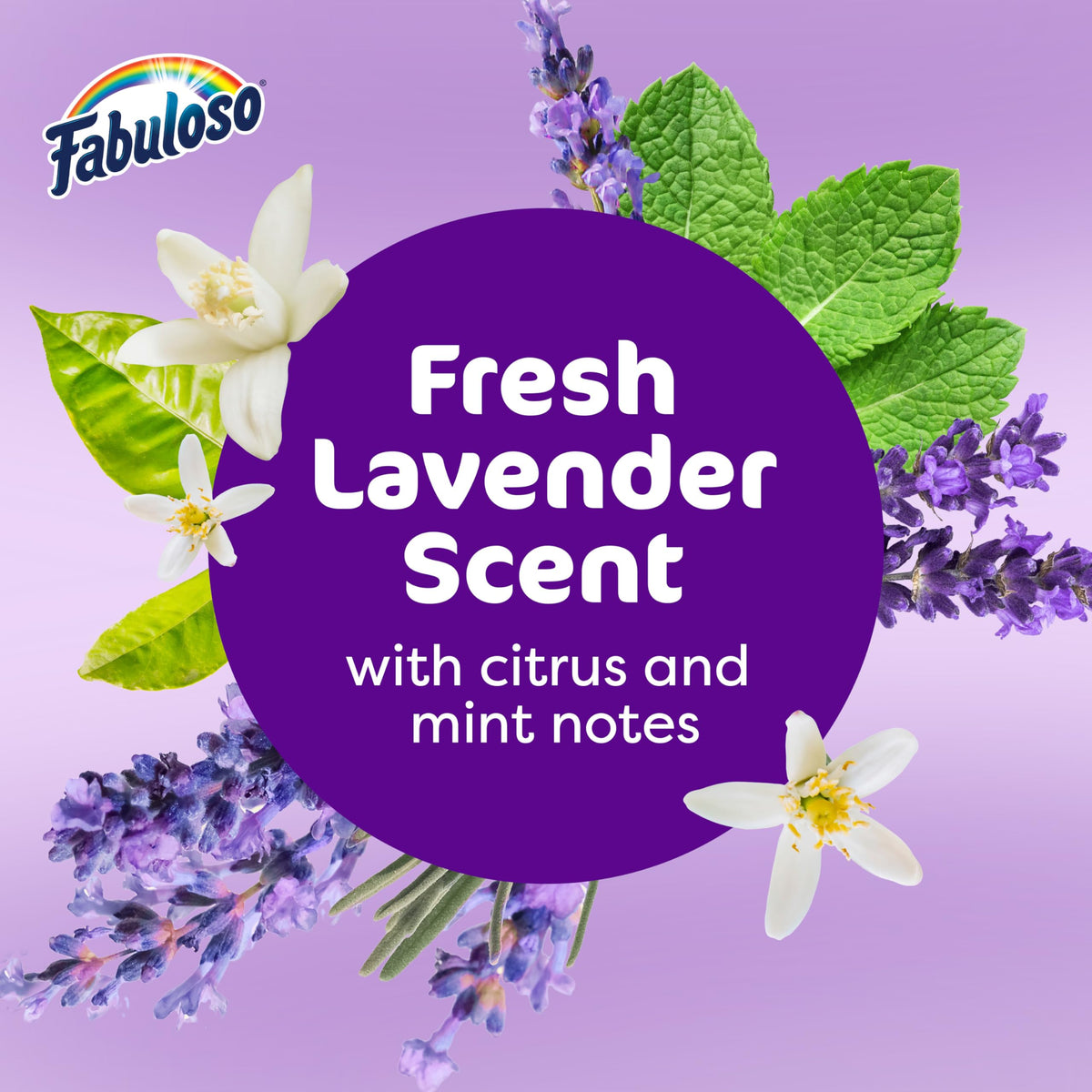Lavender Scent All-Purpose Cleaner 56 fl oz D16214