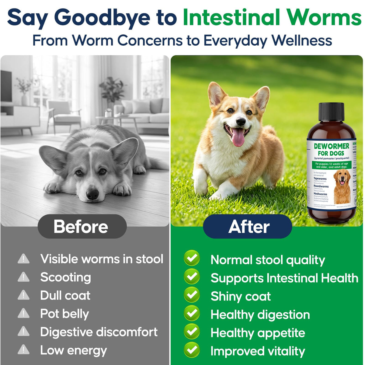 Dog Wormer Oral Liquid Treatment 100ml W56448